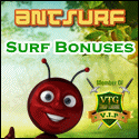 Ant Surf banner