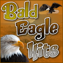 Bald Eagle Hits banner