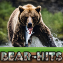 Bear Hits banner