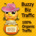 Buzzybiz Traffic banner