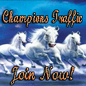 Champions Traffic banner