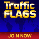 Traffic Flags banner