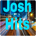 Josh Hits banner