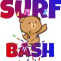 Surf Bash banner