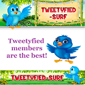 Tweetyfied Surf banner