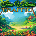 True Wellness Traffic banner
